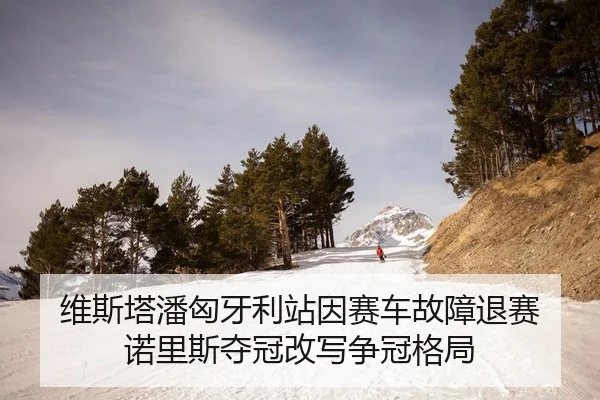 维斯塔潘匈牙利站因赛车故障退赛 诺里斯夺冠改写争冠格局